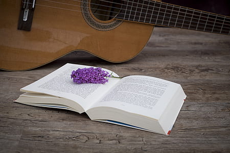 open book page beside brown guitar thumbnail