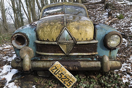 vintage brown and teal car parked near trees thumbnail