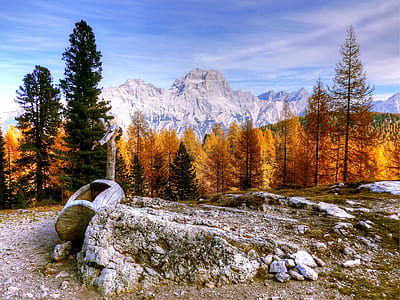 yellow and brown forest thumbnail