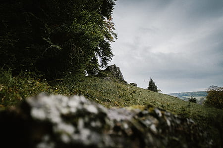 rock formation near tree at daytime thumbnail