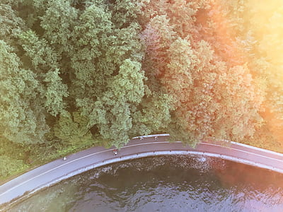 bird's eye photography of trees and road thumbnail