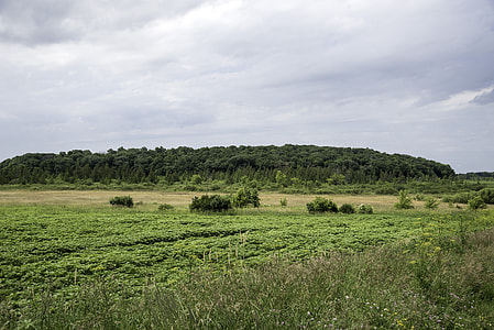 Landscape with a line of trees in the distance at Goose Lake State Wildlife Area thumbnail