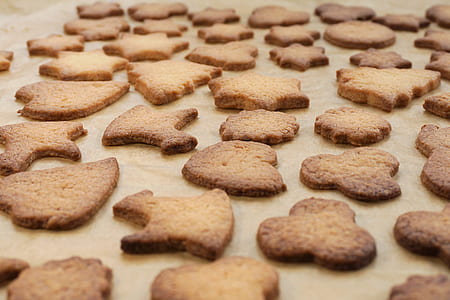 brown biscuit lot thumbnail