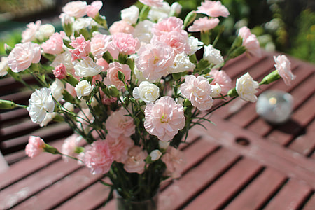 close up photo of pink and white petaled flower bouquet thumbnail