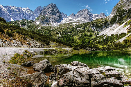 mountain and tree at daytime thumbnail