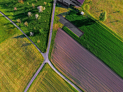 aerial view of green leafed fied thumbnail