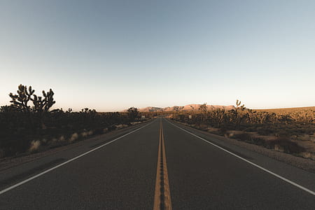 road between farm thumbnail