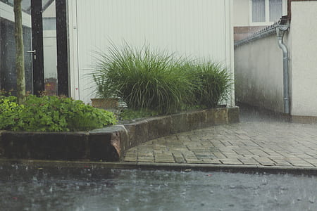 wood, light, landscape, water thumbnail