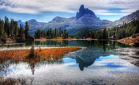 orange leaves on body of water during daytime thumbnail