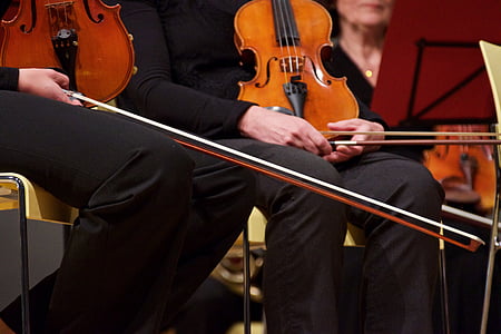 two person using violins thumbnail