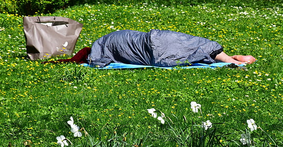 person lying down on grass field thumbnail