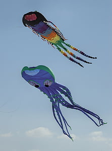 two multicolored squid kites on blue sky during daytime thumbnail
