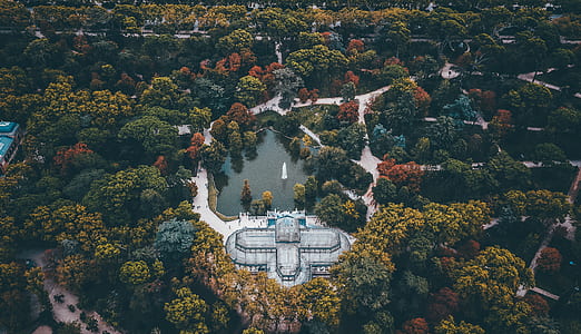 aerial view of fountain and lake between trees at daytime thumbnail
