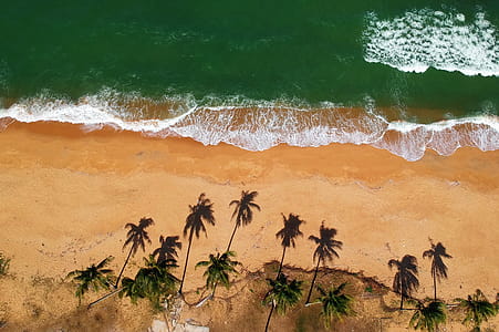 Bird's Eye View of Ocean thumbnail