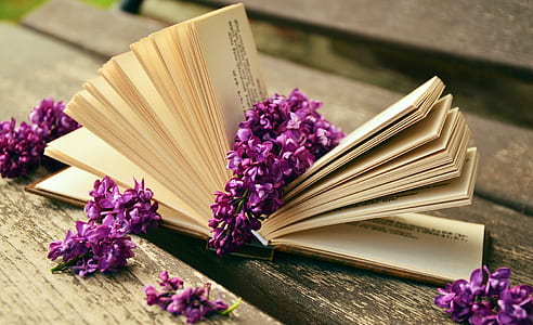 photo of purple petaled flowers on opened book page thumbnail