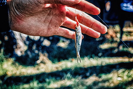 person holding fish lure thumbnail
