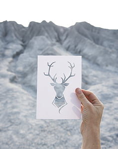 grey deer illustration on white printer paper thumbnail