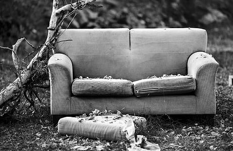 grayscale photography of fabric loveseat near tree branch thumbnail