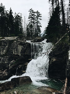 waterfalls near trees thumbnail
