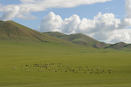 mountains under white clouds thumbnail