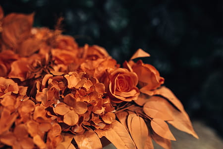 Painted Fake Flowers thumbnail