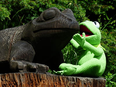 Kermit the frog sitting beside brown reptile decor thumbnail