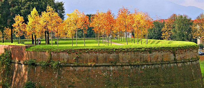 Autumn atop bastions in Lucca, Italy thumbnail