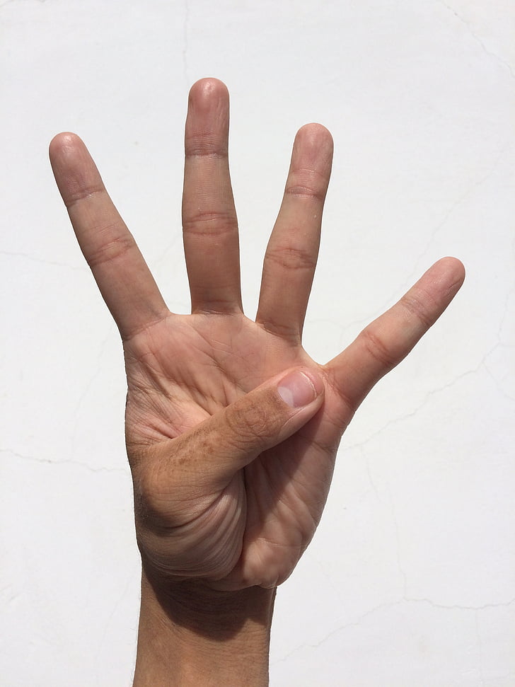 palm-hand-finger-nail.jpg