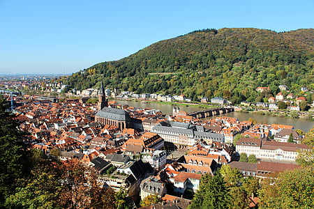 aerial view photography of village near forest thumbnail