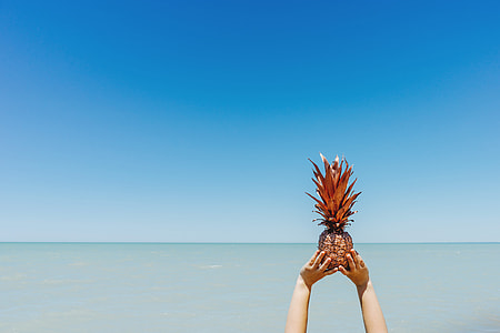 person holding pineapple near beach thumbnail