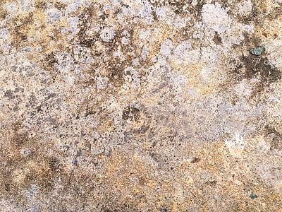 wall, wild, stone, texture, pattern, construction thumbnail