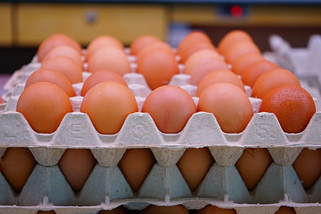 close-up photo of brown eggs on tray thumbnail