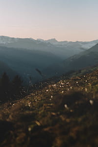 closeup photo of brown grasses on top of mountain under white clouds at daytime thumbnail