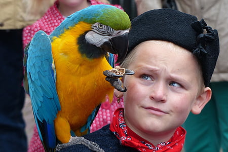 bird perching on boy's shoulder thumbnail