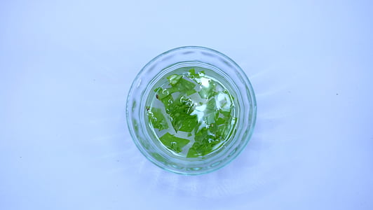round green and clear plastic ornament art illustration thumbnail