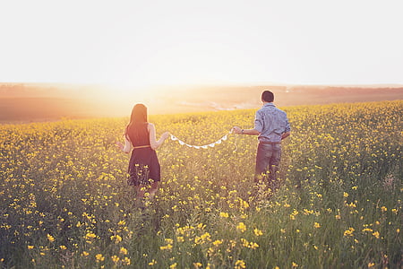man and woman on yellow rapeseed flower field during sunset thumbnail