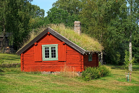 bungalow near trees thumbnail