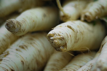 food, vegetables, close-up view, blur thumbnail