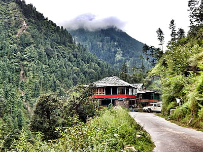 red and gray house surrounded trees thumbnail