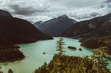 tall trees near body of water thumbnail