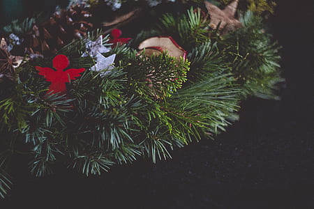 green Christmas tree thumbnail