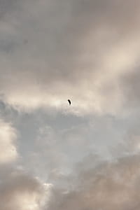 Photo of Blue Sky and Clouds thumbnail