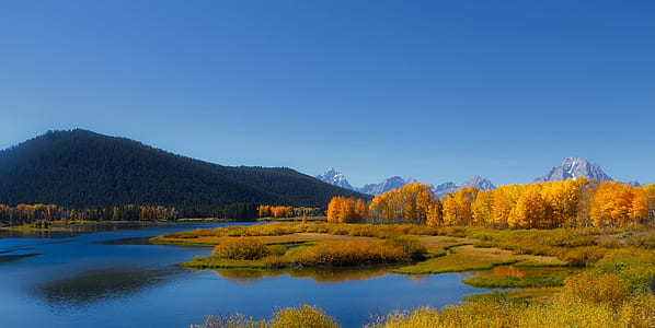 dawn, landscape, nature, water thumbnail