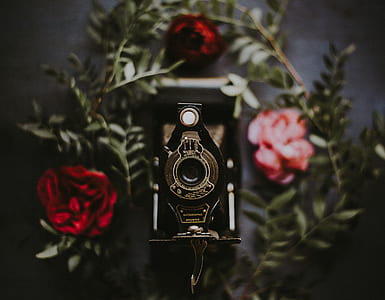 shallow focus photography of vintage camera thumbnail