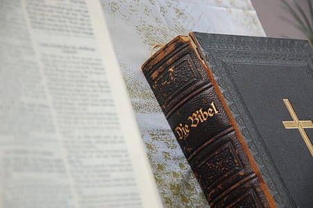 shallow focus photography of Die Bibel thumbnail