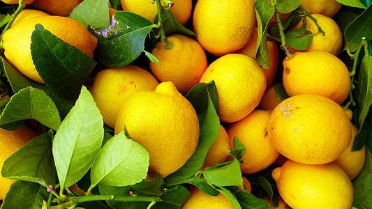 bunch of lemons thumbnail