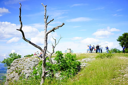 crowd near cliff thumbnail
