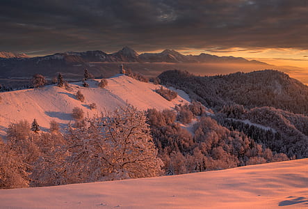 landscape photo of mountain and trees thumbnail