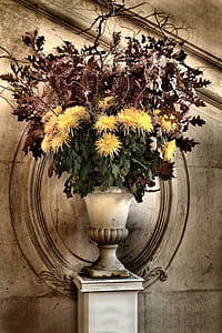 View of white ceramic vase with yellow and brown flowers thumbnail