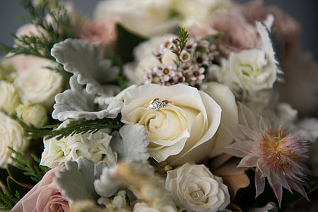 white rose thumbnail